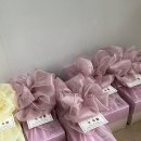 오색메밀국수