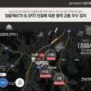 알파정읍