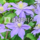 유 농원 이미지