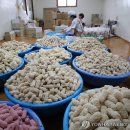 성1리 마을회관 이미지