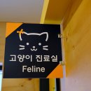 헤이븐동물병원 이미지