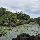 거기벵디 이미지