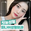 피니쉬성형외과의원 이미지