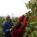 다감농장 이미지