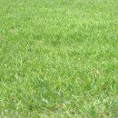 한강다목적운동장 이미지