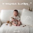 러브유어바디 피티 스튜디오 | 성남 아기사진 잘 찍는 곳ㅣ15개월아기 베이비스튜디오 성장앨범 촬영 후기
