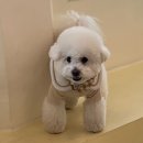 하이도기 이미지