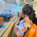 곤충연구소 실내 | 구미 아이랑 가볼만한 곳 추천 곤충체험연구소 후기