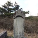 진주 가봉리 숙부인 상산박씨 묘비 및 석인상 | 진주 가봉리 숙부인 상산박씨 묘비 및 석인상