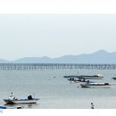 홍도식품