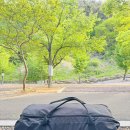 벽계야영장 | 경남 캠핑장 힐링숲뷰 [의령벽계야영장] 찐추천 (with 요토플러스)