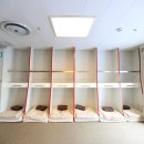 카멜리아 이미지