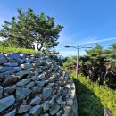 수정-111 이미지