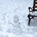 퓌센 | 뮌헨 근교 여행 필수코스, 퓌센 당일치기 노이슈반슈타인성 다녀온 후기