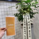 루덴스일산실용음악학원