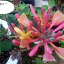 별이네농장 이미지