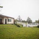 맘앤도그 이미지