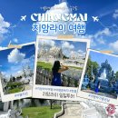 일일 | 태국 치앙마이 자유여행 치앙라이 일일투어 후기