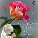 행복꽃 이미지