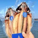 명주수산 이미지