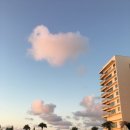 안경해라 이미지