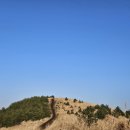 용눈이오름 주차장 | 겨울 용눈이오름 후기[제주오름]