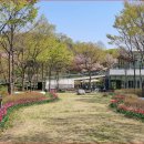 신구대학교 티스토리