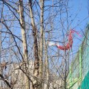 망객정(신평) 이미지