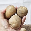 경숙농장 이미지