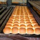 Bread Factory 빵공장 이미지