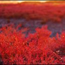 진관-019 이미지