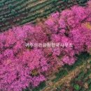 천심농장 이미지