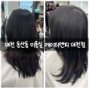대전미용실 - 칠곡군 인평중앙로 31 | 에이티엔피 대전점 레이어드컷 헤어클리닉 후기 대전 둔산동 미용실 추천