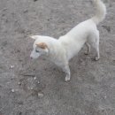 금순이농장 이미지