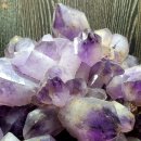 상림화원 이미지