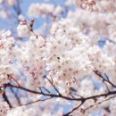 덕풍수변공원 이미지