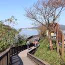 도음소도(돔배)
