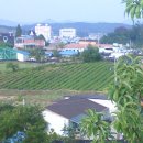 인삼웰빙사우나 이미지