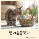 동물을 좋아하는 아이, 반려동물학과 반려동물과 진학 어떨까?