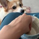 서서히 세라믹 스튜디오 이미지