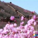 천주산 입구 이미지