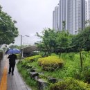 대신수산식당 이미지