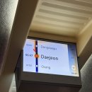 마들렌베이커리수성교점 | 빵빵런 2025 in 대전 10k 후기 성심당DCC 오씨칼국수 도룡점