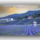 정읍농장 이미지