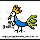 바오로일터 이미지