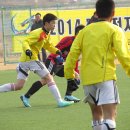 2014년도 1차 동계스토브리그(합천)(보인 2학년 對 산청FC, 140112) 3/3 이미지