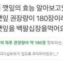 팔도돼지국밥 이미지