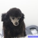 동물에반하다동물병원 이미지