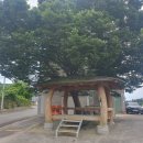 하장안마을회관 이미지