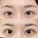 3호선 남산역 | 대구 대명동 속눈썹펌 남산역 언더펌 듀얼펌 예뻐서 내돈내산 솔직후기